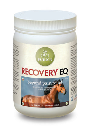 Recovery EQ