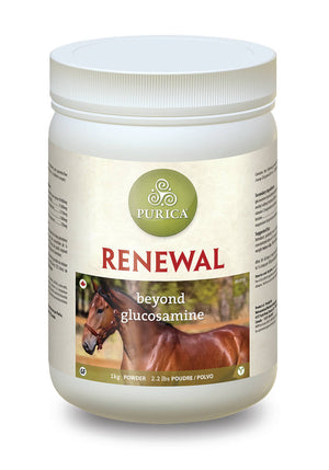 Purica Renewal