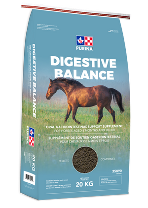 Purina Digestive Balence