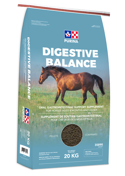 Purina Digestive Balence