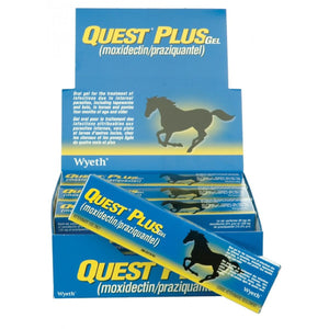 Quest Plus