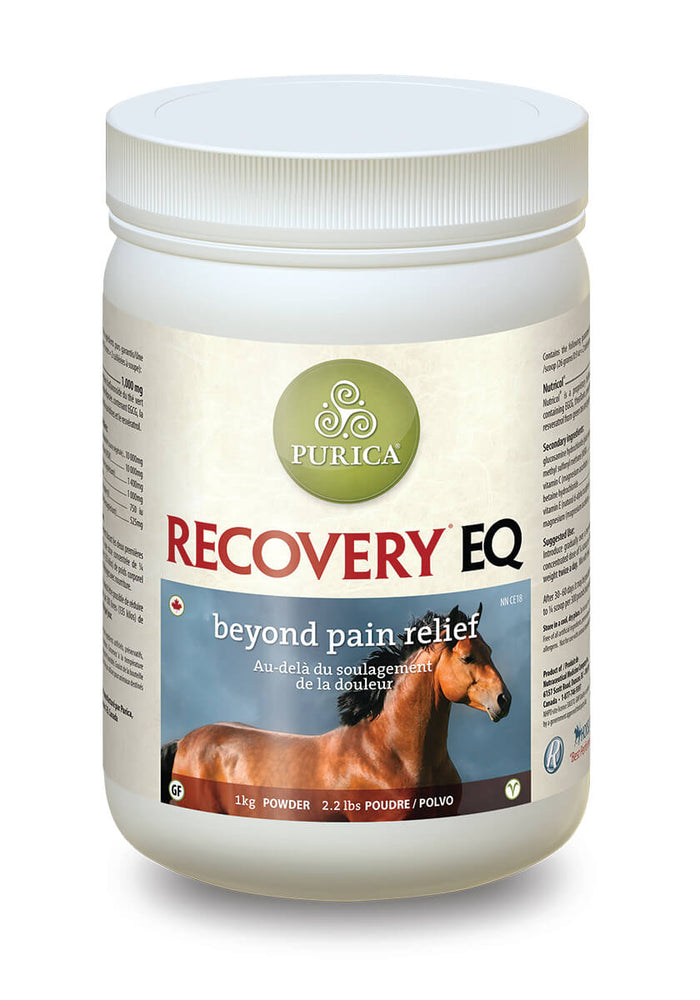Recovery EQ